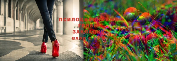 не бодяженный Зеленодольск