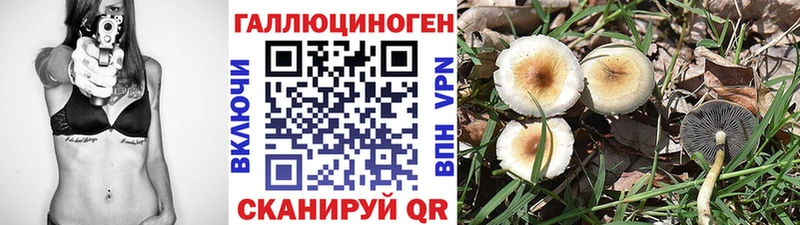 Купить закладки  Дюртюли  Псилоцибиновые грибы Psilocybine cubensis 